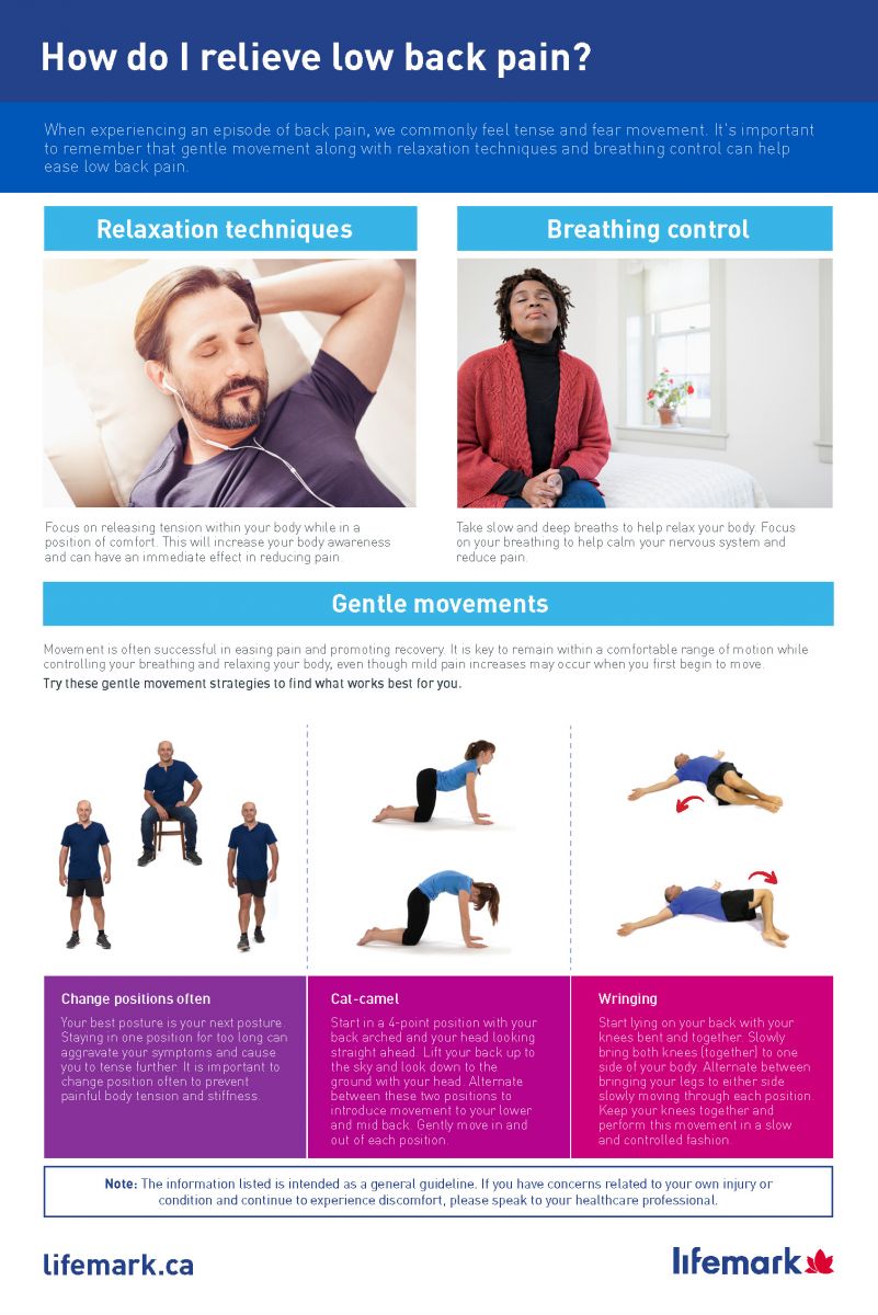 Easy To Do Exercises For Back Pain -Healthkart